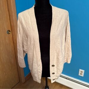 American Eagle Outfitters Beige Cardigan Sweater